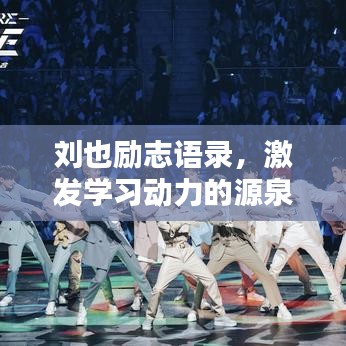 刘也励志语录，激发学习动力的源泉