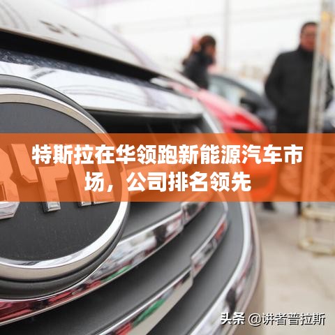 特斯拉在华领跑新能源汽车市场，公司排名领先