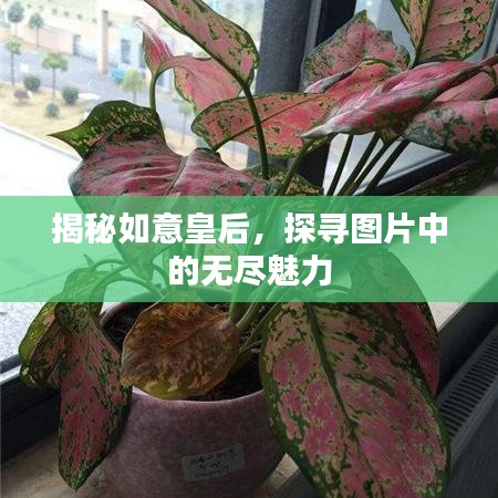 揭秘如意皇后，探寻图片中的无尽魅力