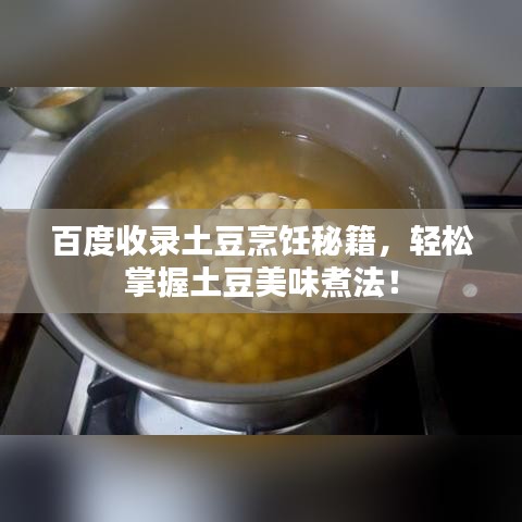 百度收录土豆烹饪秘籍，轻松掌握土豆美味煮法！