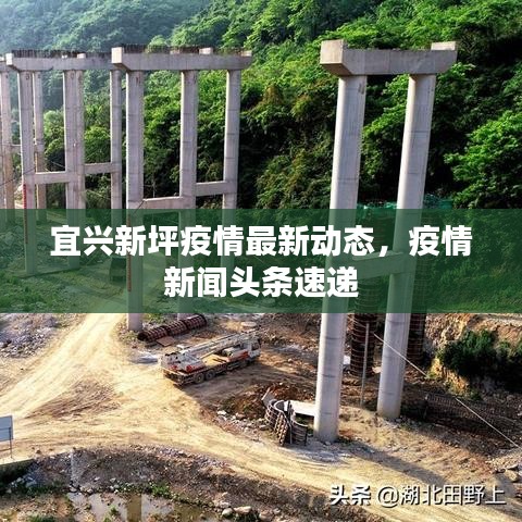 宜兴新坪疫情最新动态，疫情新闻头条速递