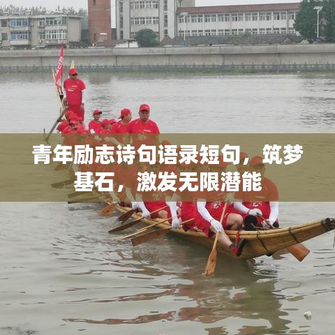 2025年5月17日 第48页