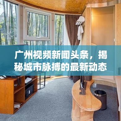 广州视频新闻头条，揭秘城市脉搏的最新动态