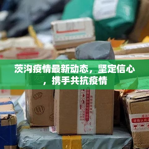 2025年5月17日 第46页