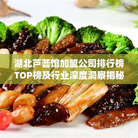 湖北芦荟馆加盟公司排行榜TOP榜及行业深度洞察揭秘！