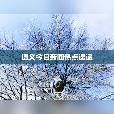 遵义今日新闻热点速递