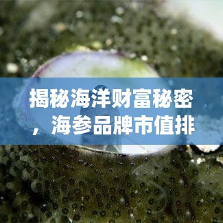 揭秘海洋财富秘密，海参品牌市值排名前十强榜单揭晓！