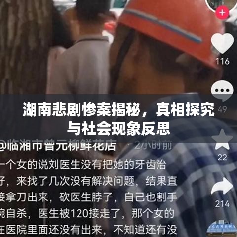 湖南悲剧惨案揭秘，真相探究与社会现象反思
