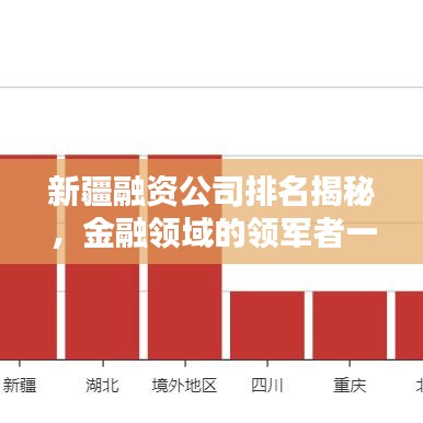 新疆融资公司排名揭秘，金融领域的领军者一览表