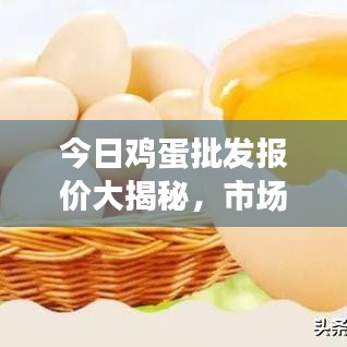 今日鸡蛋批发报价大揭秘，市场分析助你洞悉行情！