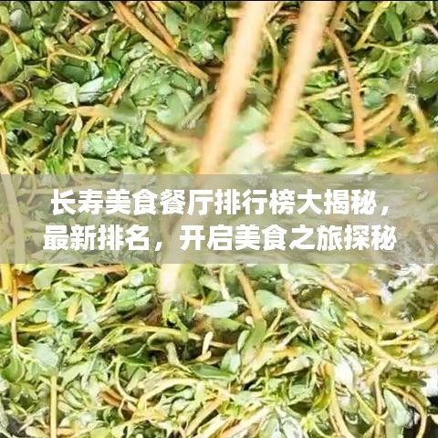 长寿美食餐厅排行榜大揭秘，最新排名，开启美食之旅探秘之旅！