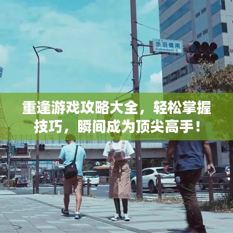 重逢游戏攻略大全，轻松掌握技巧，瞬间成为顶尖高手！
