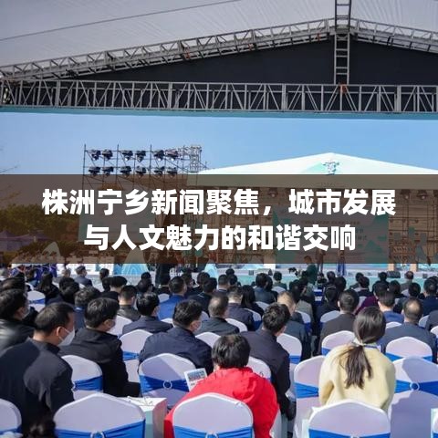 2025年5月 第20页