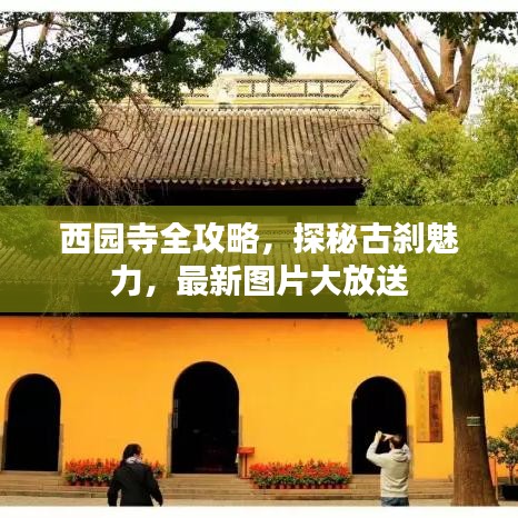 西园寺全攻略，探秘古刹魅力，最新图片大放送