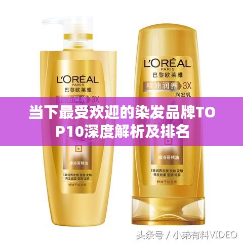当下最受欢迎的染发品牌TOP10深度解析及排名