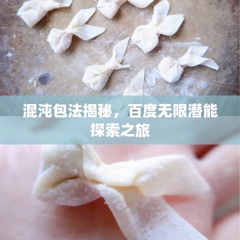混沌包法揭秘，百度无限潜能探索之旅