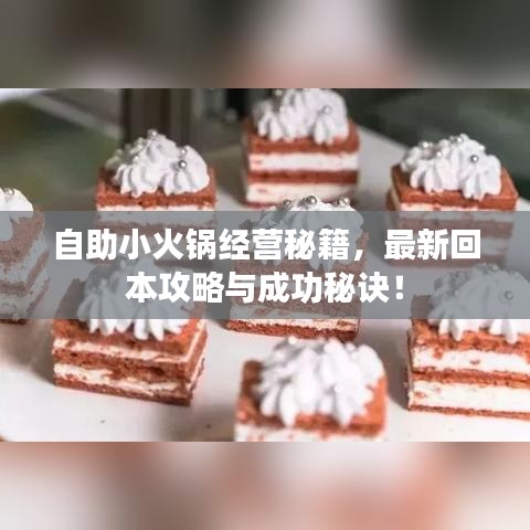 自助小火锅经营秘籍，最新回本攻略与成功秘诀！