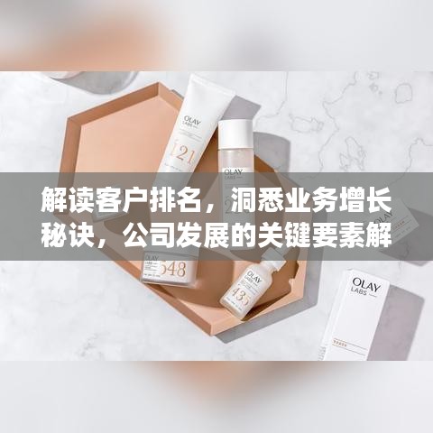 解读客户排名，洞悉业务增长秘诀，公司发展的关键要素解析