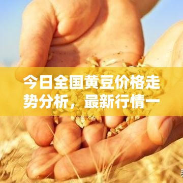 2025年5月24日 第6页