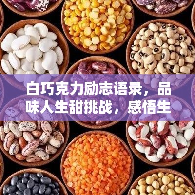 2025年5月25日 第31页