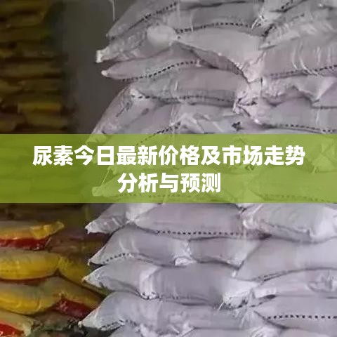 尿素今日最新价格及市场走势分析与预测