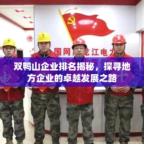 双鸭山企业排名揭秘，探寻地方企业的卓越发展之路