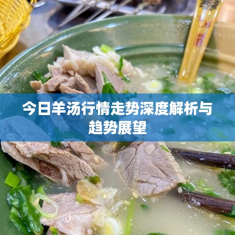 今日羊汤行情走势深度解析与趋势展望