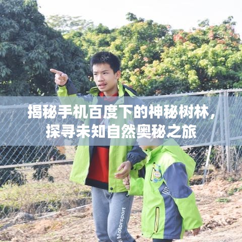 2025年5月26日 第5页