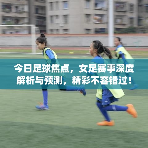 淡妆浓抹