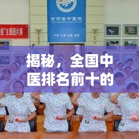 揭秘，全国中医排名前十的医院——传统与创新融合之地