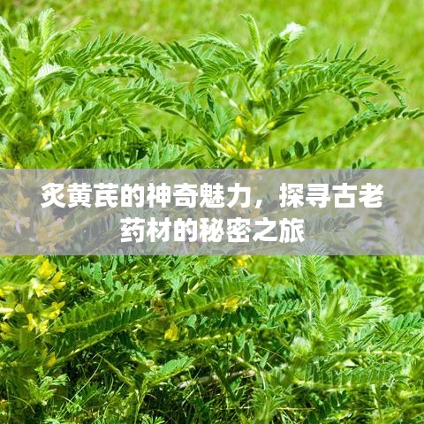 精雕细刻