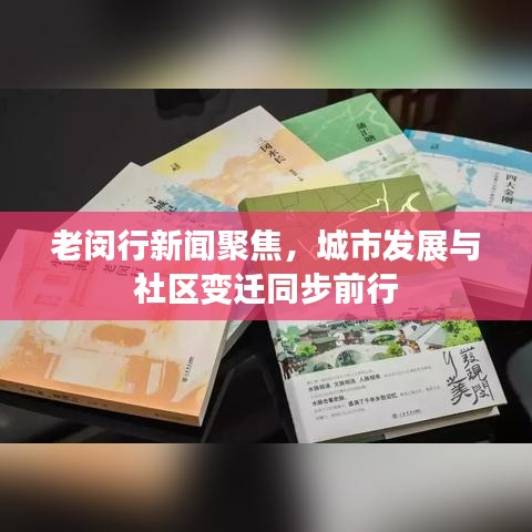 老闵行新闻聚焦，城市发展与社区变迁同步前行