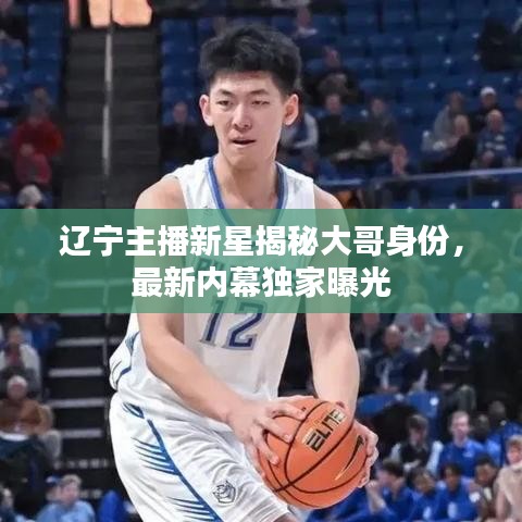 小家碧玉