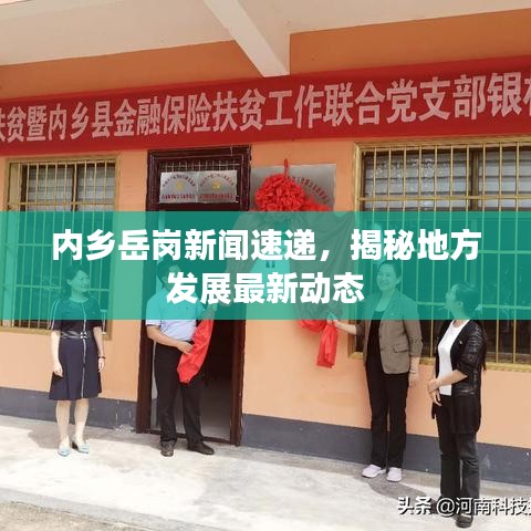 内乡岳岗新闻速递，揭秘地方发展最新动态