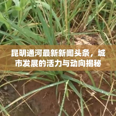 程门飞雪