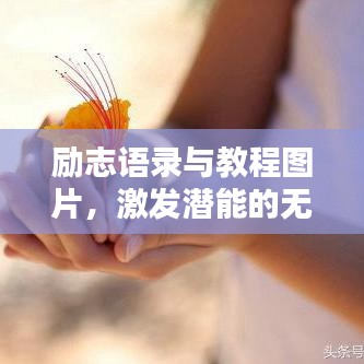 初告白