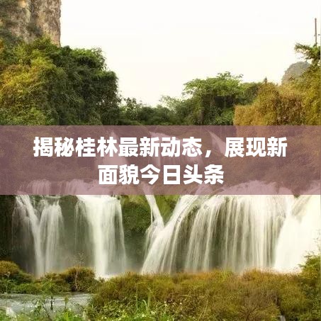 寒蝉僵鸟