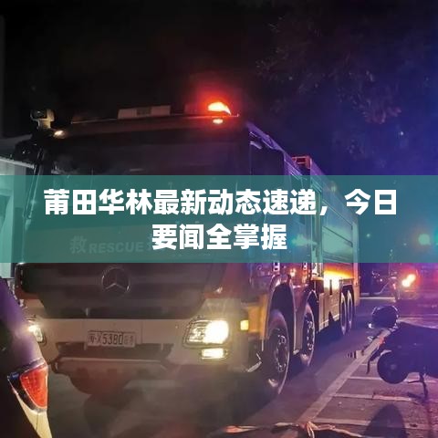 飞扬跋扈