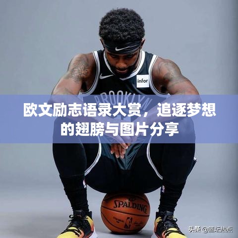 乌鸟之情