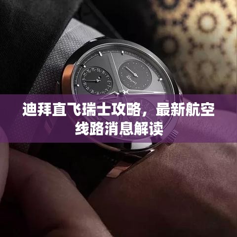 一毫不苟