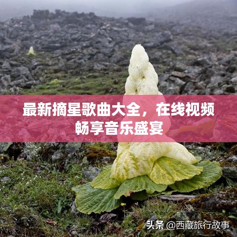 最新摘星歌曲大全，在线视频畅享音乐盛宴