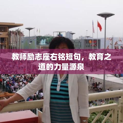 龙飞凤舞