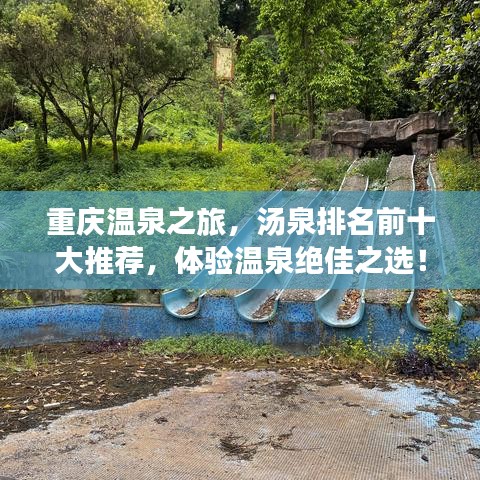 飞扬拨扈