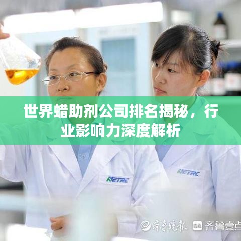 鸿飞雪爪