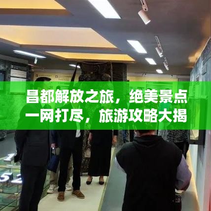 另谋高就