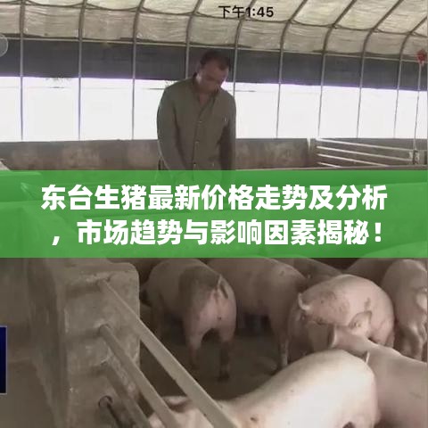 腾龙换鸟