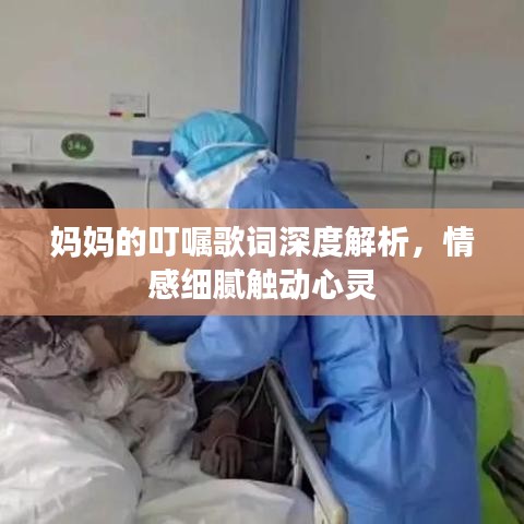 德才兼备