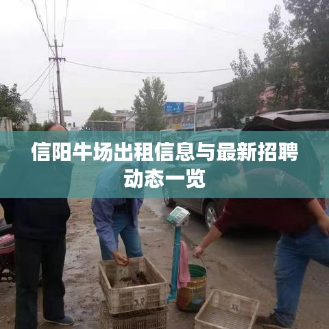 忠心耿耿