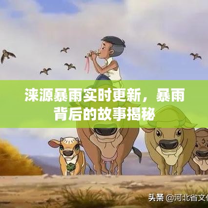 生张熟魏