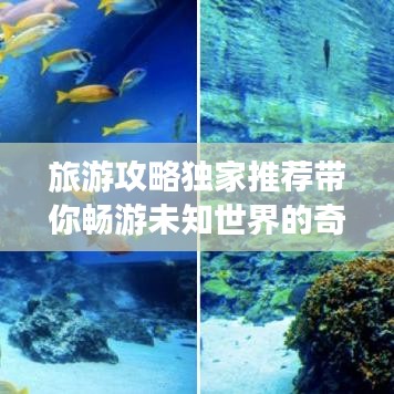 芳兰竟体